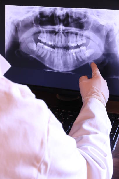 Best Emergency X-Rays and Diagnostics in Camas, WA